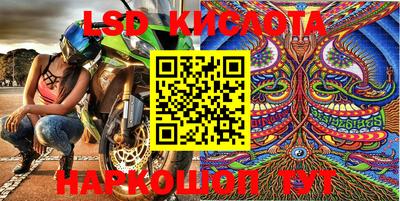 кокс Можга